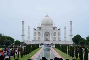 Da Kochi: 5 Giorni di Triangolo d'Oro privato Delhi Agra Jaipur