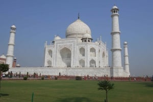 Da Kochi: 5 Giorni di Triangolo d'Oro privato Delhi Agra Jaipur