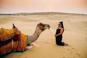 From New Delhi: 4-Day & 3-Night Tour of the Golden Triangle