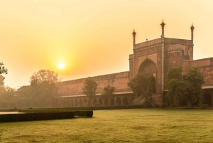 Desde Nueva Delhi : Delhi Agra Jaipur Tour de 3 Días