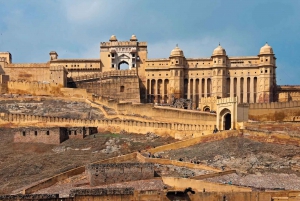 Ab Delhi: Jaipur Private Tour mit Guide & Abholung vom Hotel