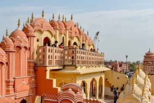Ab Delhi: Jaipur Private Tour mit Guide & Abholung vom Hotel