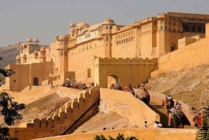 Depuis New Delhi : excursion privée d'une journée à Jaipur avec billets pour les monuments