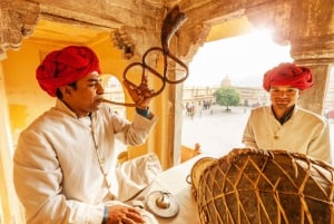 Von Neu-Delhi: Jaipur Privater Tagesausflug mit Reiseführer