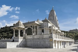 Von Neu-Delhi: Jaipur Privater Tagesausflug mit Reiseführer