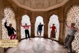 Von Neu-Delhi: Jaipur Privater Tagesausflug mit Reiseführer