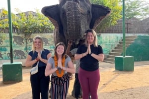 Dagvullende tour Jaipur sightseeingtour per tuk tuk.