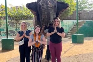 Dagvullende tour Jaipur sightseeingtour per tuk tuk.