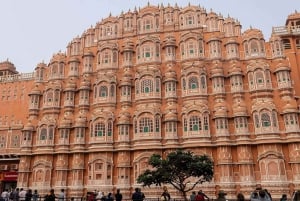 Dagvullende tour Jaipur met de auto