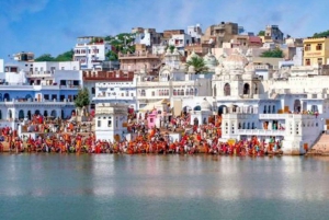 Hele dag pushkar tour vanuit jaipur met gids+kameel/jeepsafari