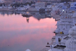 Hele dag pushkar tour vanuit jaipur met gids+kameel/jeepsafari