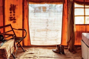 Hele dag pushkar tour vanuit jaipur met gids+kameel/jeepsafari