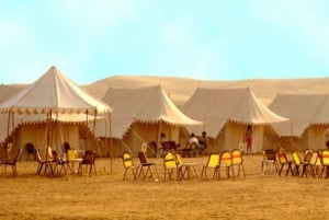 Hele dag pushkar tour vanuit jaipur met gids+kameel/jeepsafari