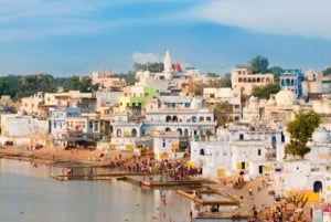 Hele dag pushkar tour vanuit jaipur met gids+kameel/jeepsafari