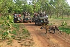 Kultainen kolmio Pushkariin, Khajurahoon ja Pannaan: 6-päiväinen matka