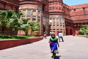 Delhi-Agra-Jaipur Gulltriangel flerdagstur med safari