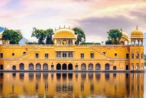Fra New Delhi: Den Gyldne Trekant med Ranthambore 4N/5D