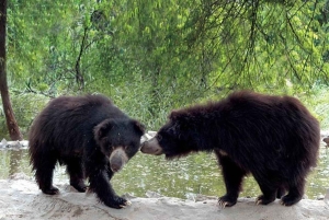 Golden Triangle with SOS Sanctuary Tour from Delhi: 4- Days