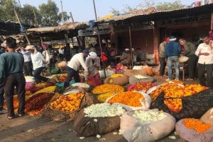 Paseo por el Patrimonio y Degustación de Comida Callejera en Jaipur