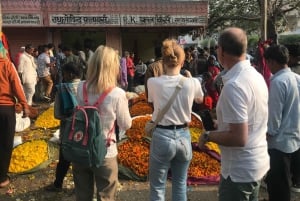 Paseo por el Patrimonio y Degustación de Comida Callejera en Jaipur