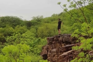 Hike/Trek/Nature Walk with Sunrise Views, Birding & CityView