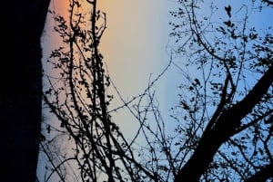 Hike/Trek/Nature Walk with Sunrise Views, Birding & CityView