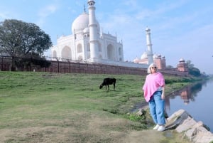 India: Luxury Golden Triangle Tour with Private Guide