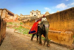 Jaipur: 2-daagse city sightseeingtour met taxi & gids