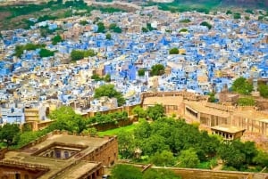 Jaipur: Full Day Jaipur City Tour by Private Car & Guide