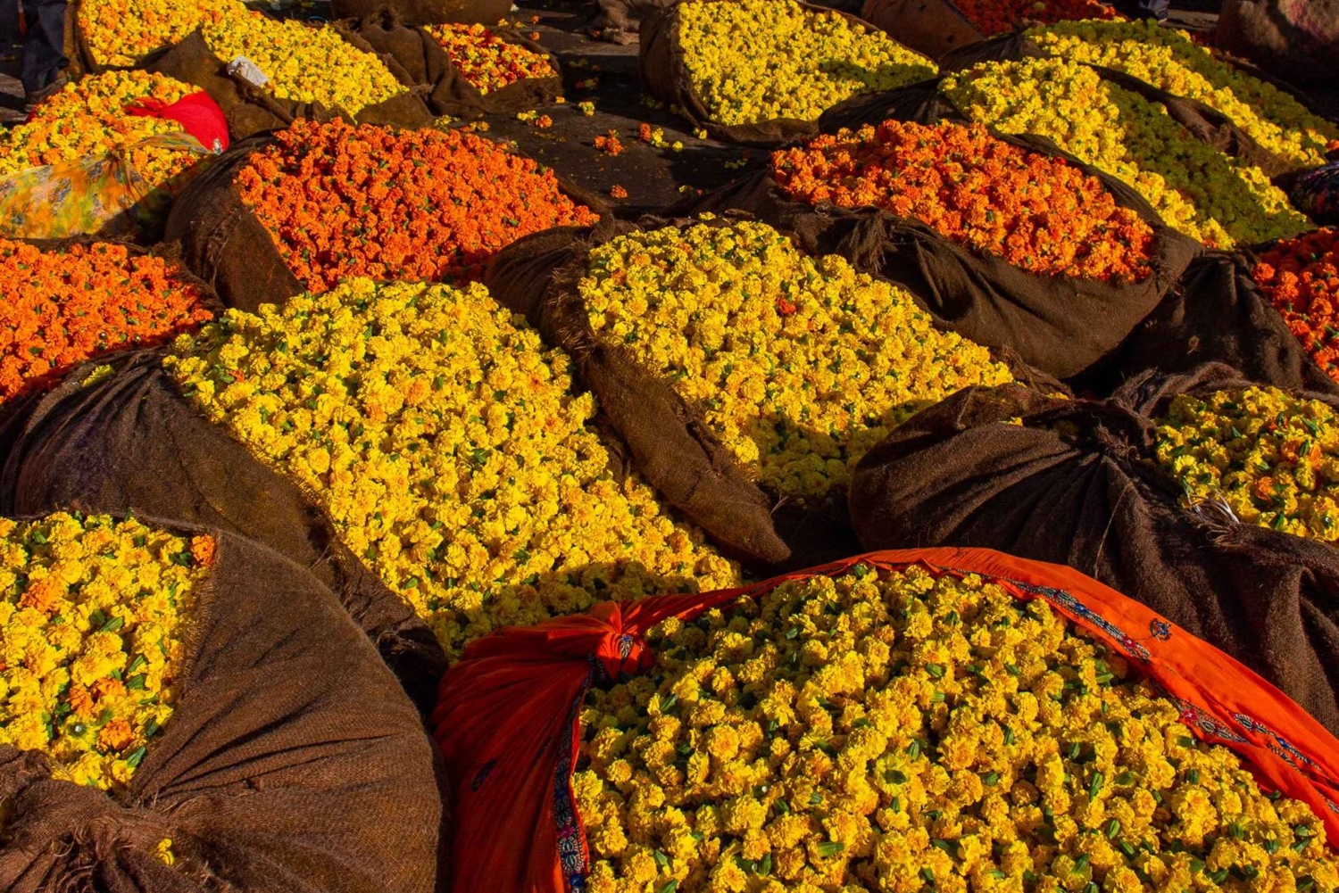 Jaipur: 2-dages privat tur med en professionel turguide