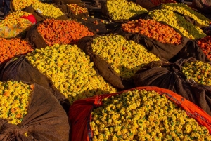 Jaipur: 2-dages privat tur med en professionel turguide