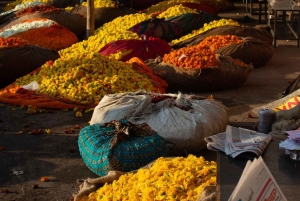 Jaipur: 2-dages privat tur med en professionel turguide