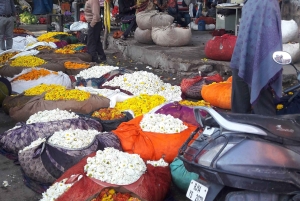 Jaipur: 2-dages privat tur med en professionel turguide