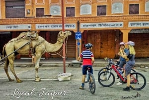 Jaipur: 3-stündige Fahrradtour durch die Altstadt von Jaipur am Morgen