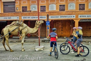 Jaipur: 3-uur durende ochtendfietstocht door de oude stad van Jaipur