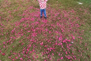 Jaipur: 3-uur durende ochtendfietstocht door de oude stad van Jaipur