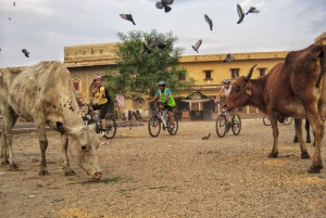 Jaipur: 3-uur durende ochtendfietstocht door de oude stad van Jaipur