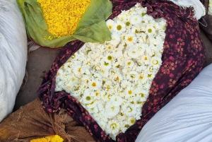 Jaipur: 3-uur durende ochtendfietstocht door de oude stad van Jaipur