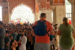 Jaipur: 3-uur durende ochtendfietstocht door de oude stad van Jaipur