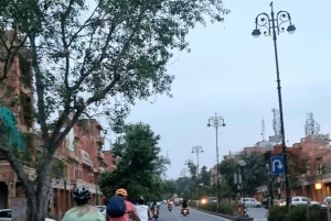 Jaipur: 3-uur durende ochtendfietstocht door de oude stad van Jaipur
