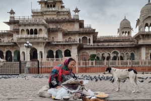 Jaipur: 3-uur durende ochtendfietstocht door de oude stad van Jaipur