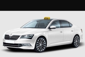 Jaipur: Odbiór z lotniska prywatnym samochodem.