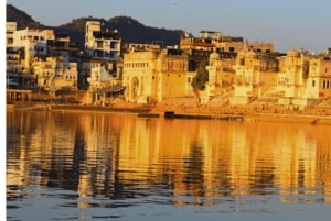 Jaipur: excursión de 1 día a Ajmer y Pushkar con almuerzo y paseo en camello