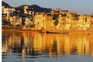 Jaipur : Ajmer & Pushkar excursion d'une journée avec déjeuner et balade à dos de chameau