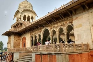 Jaipur: Albert Hall Museum Guided Tour with Entry Ticket