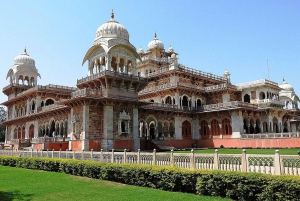Jaipur: Albert Hall Museum Guided Walking Tour