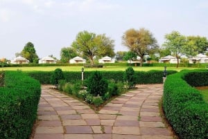 Jaipur: Haunted Bhangarh Fort and Abhaneri Stepwell Day Trip