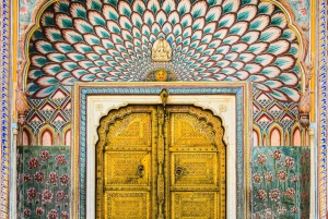 Jaipur: All inclusive-dagsutflykt med inträdesbiljett