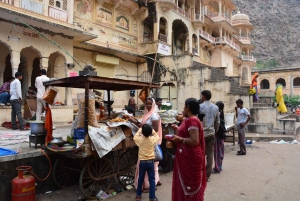 Jaipur: Tour di un giorno del Forte di Amber, del Palazzo della Città e dell'Hawa Mahal