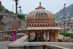 Jaipur: Tour di un giorno del Forte di Amber, del Palazzo della Città e dell'Hawa Mahal
